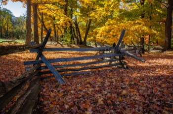 Autumn in Jockey Hollow State Park, NJ