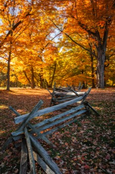 Autumn in Jockey Hollow State Park, NJ